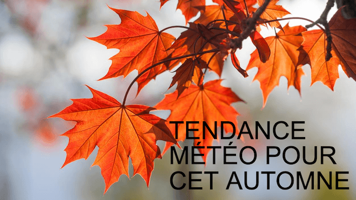 Quelles tendances pour l'automne en France ?