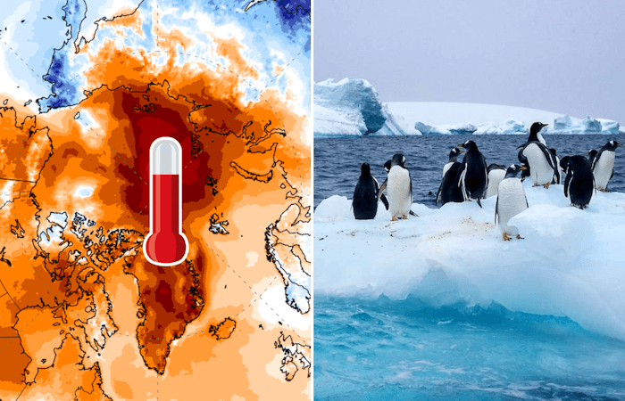 La surchauffe de l'Arctique retarde l'extension de la banquise