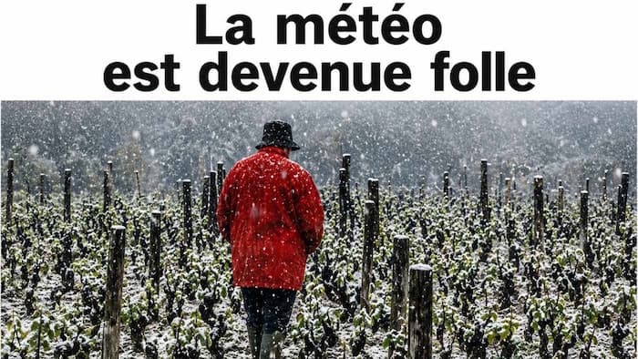 Incroyable mais vrai : il a neigé en Touraine le 7 mai !