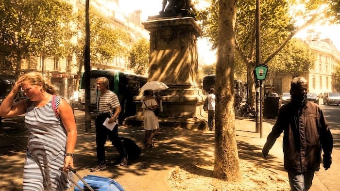 Canicule : faut-il encore appeler ça du beau temps ?