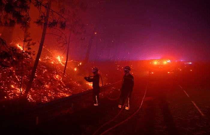 Plus de 2000 hectares détruits : un incendie détruit 10% de la forêt de Fontainebleau
