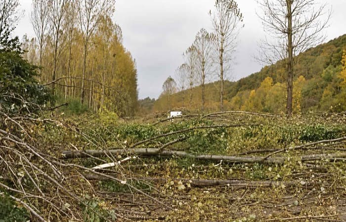 Tempête Austen : les arbres encore feuillus font craindre des dégâts