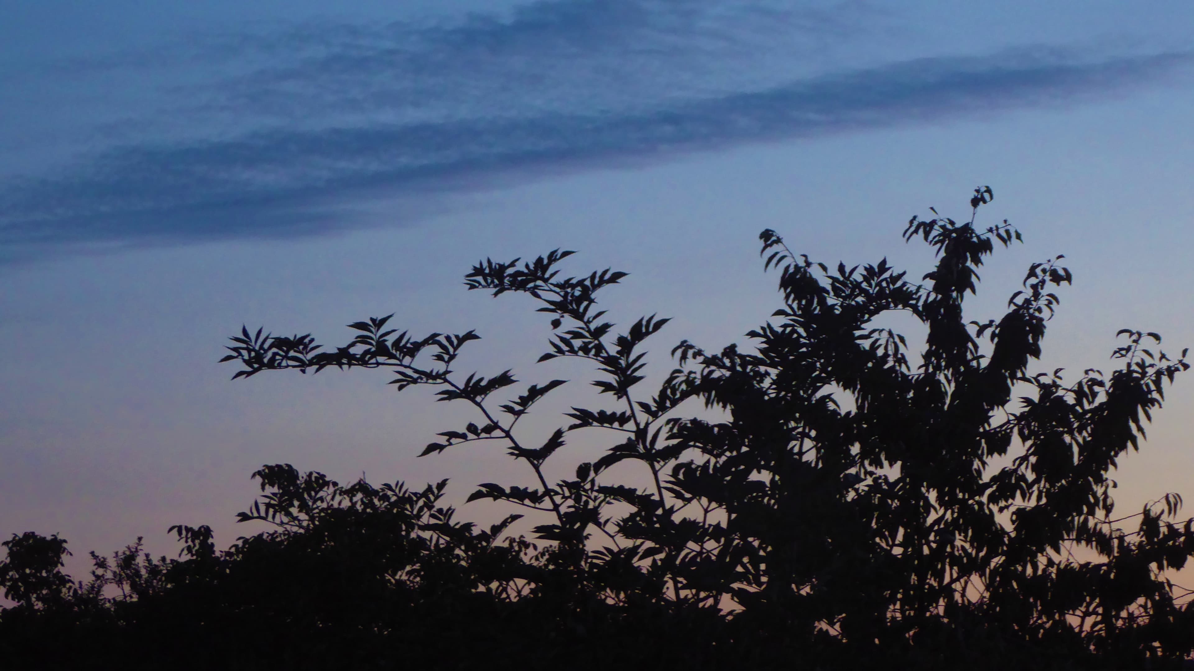 Ciel dégagé dans la soirée.