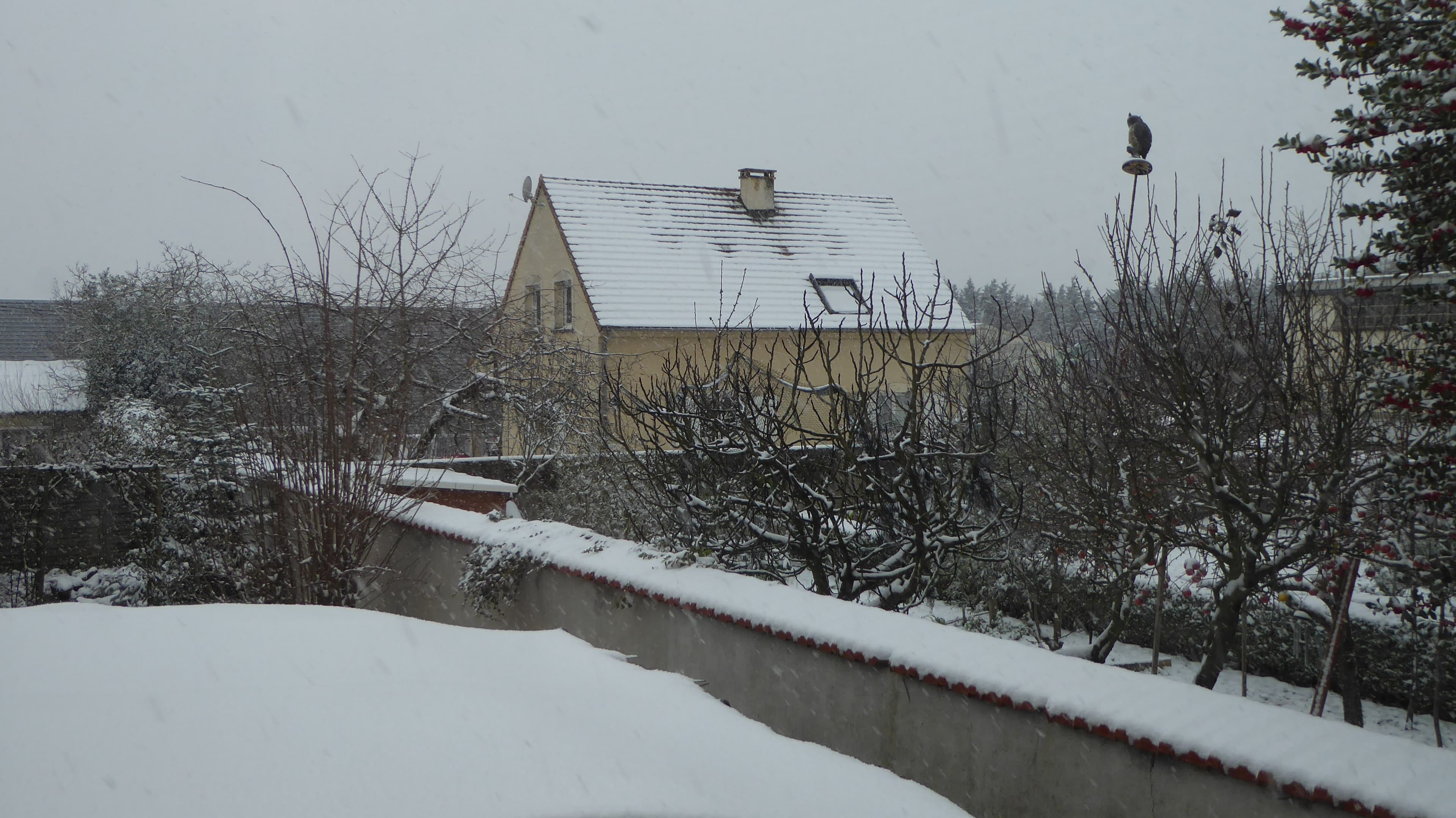NEIGE DANS L'ESSONNE.