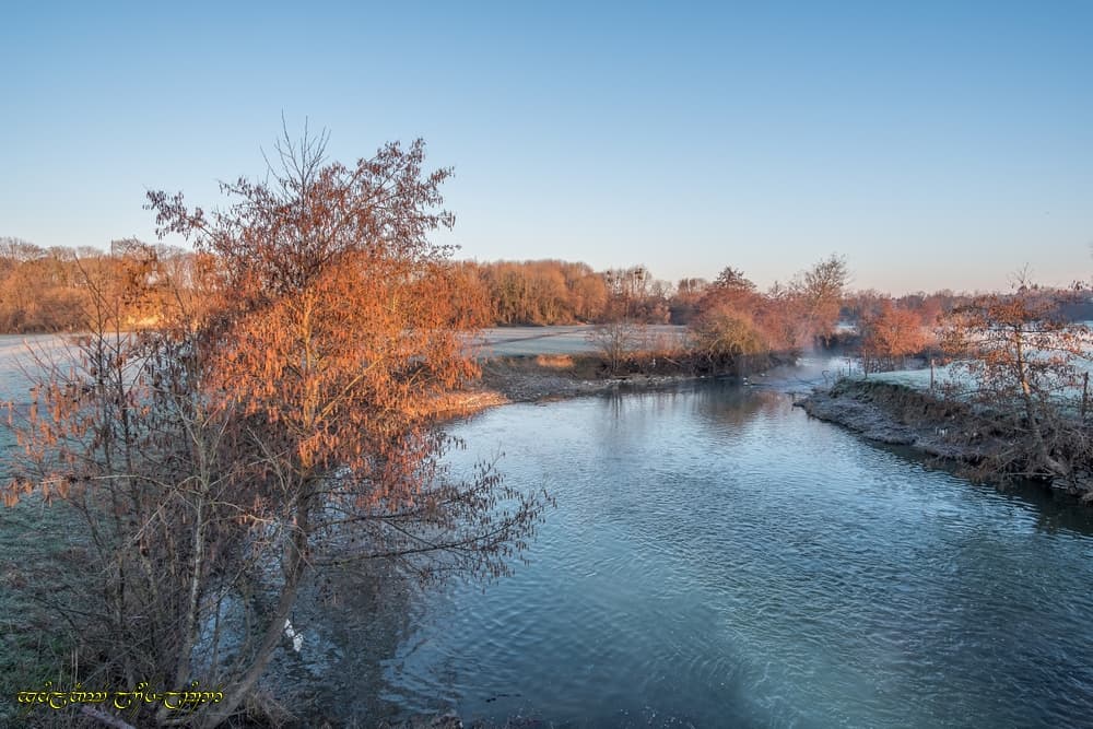 Fraîcheur près de la rivière