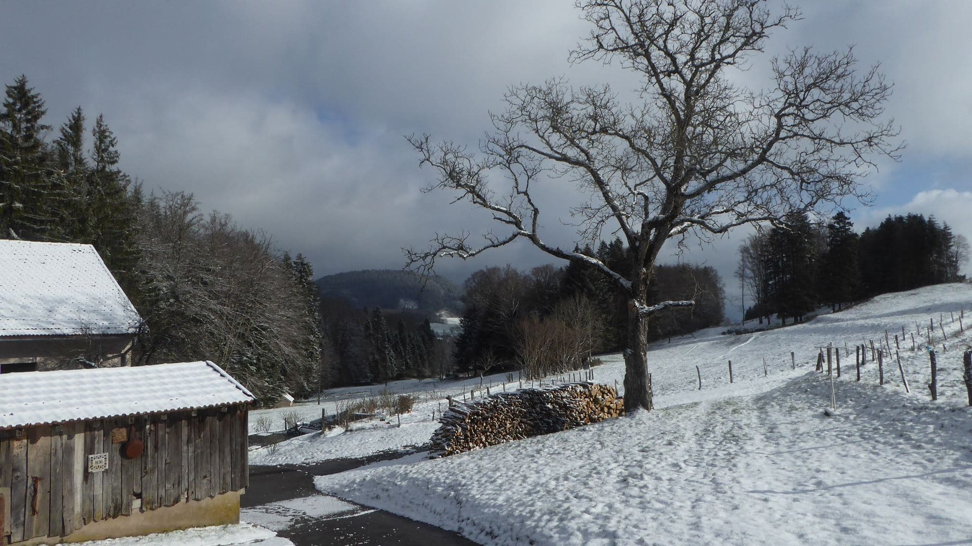 LE RETOUR DE LA NEIGE