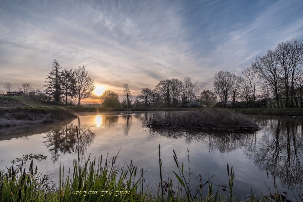 Cirrus au bord de l'étang
