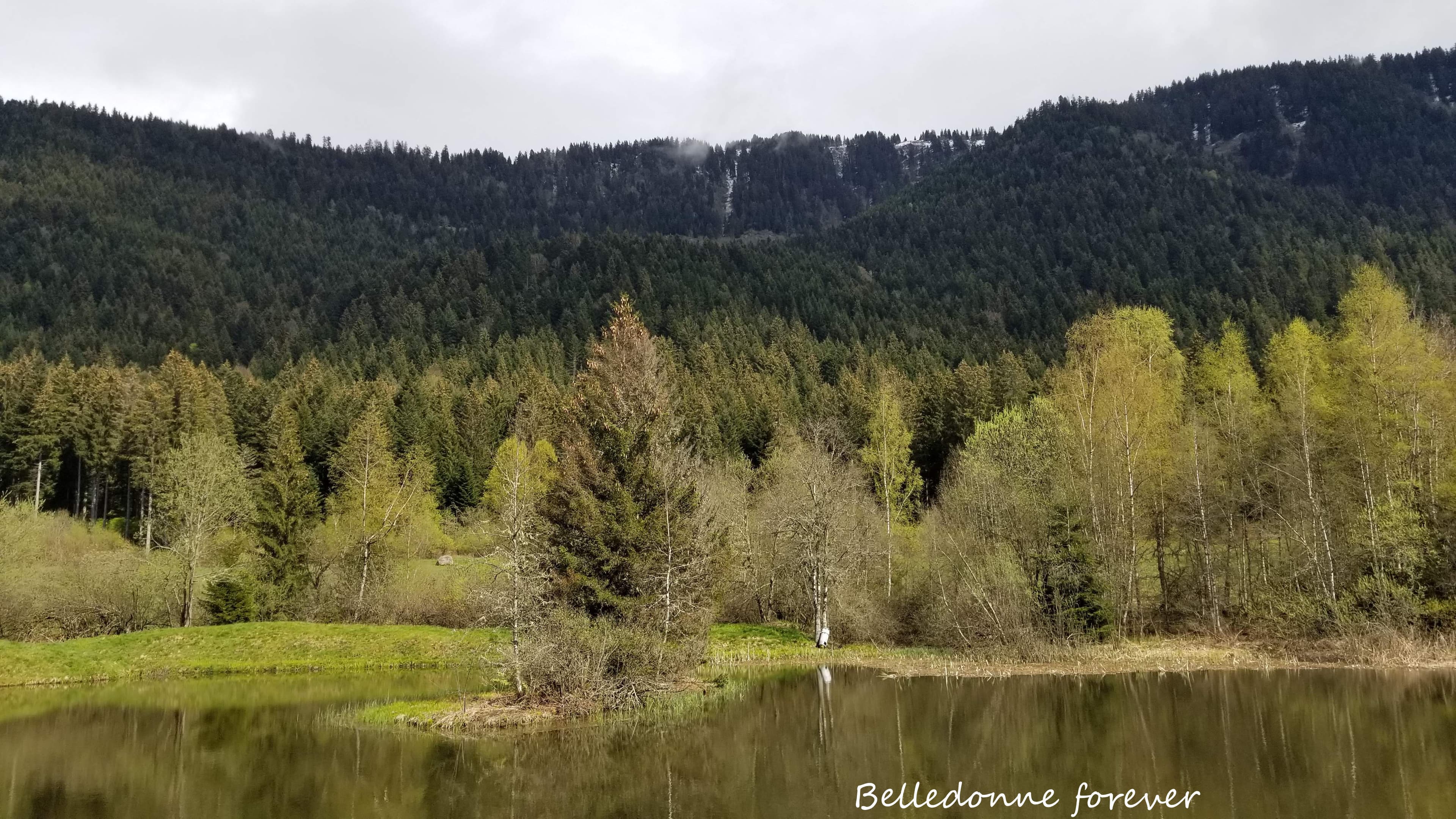 Un peu de vert et de soleil, mais la neige est juste au-dessus à 1550m A.P.