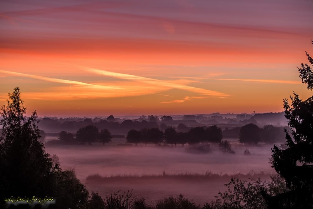 Rouge brume