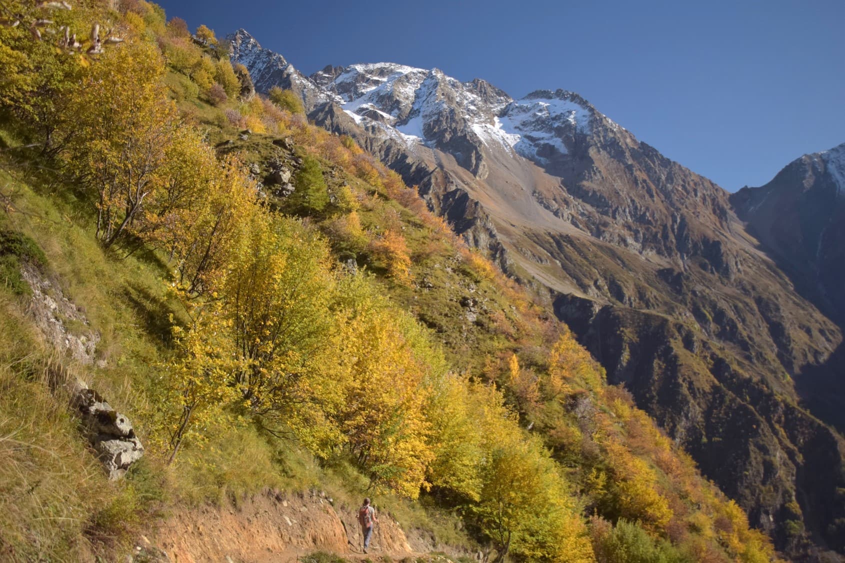 Parc des Escrins- vvers le col de Côte Belle