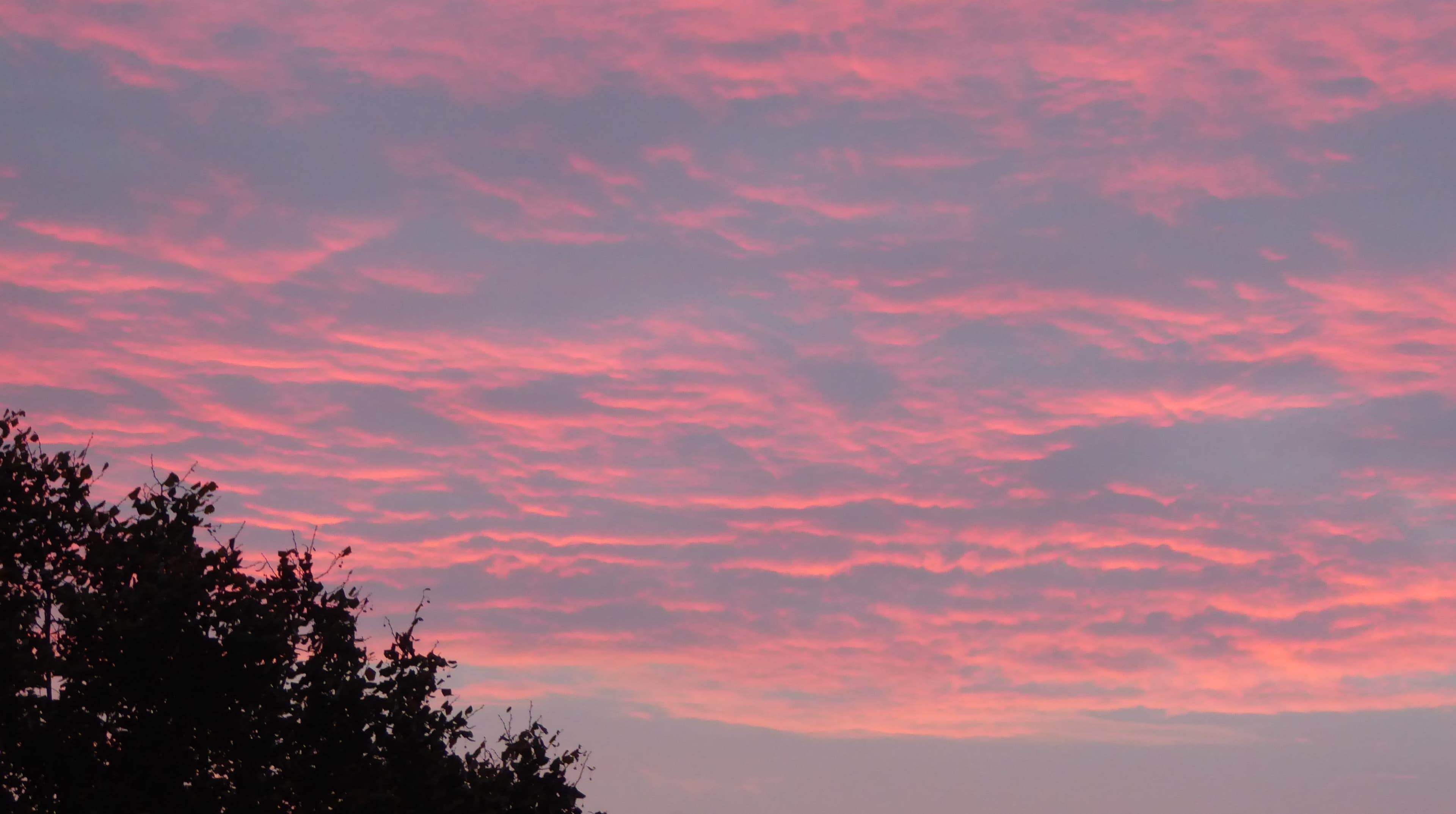 Ciel rose du matin.