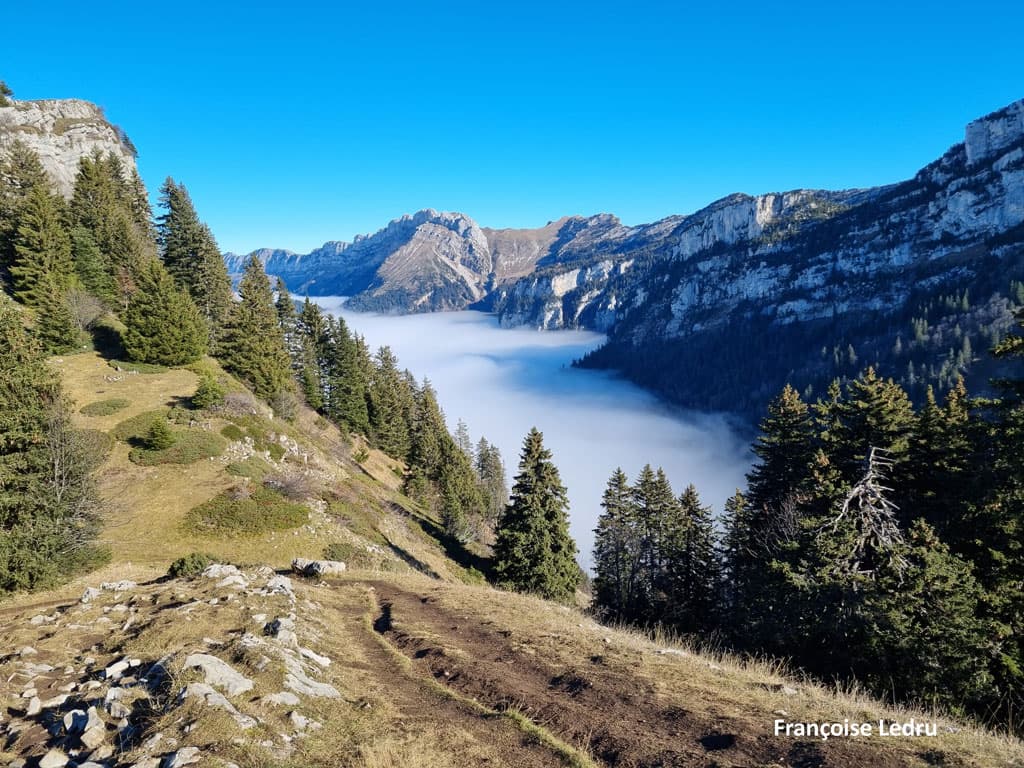 Magnifique mer de nuage