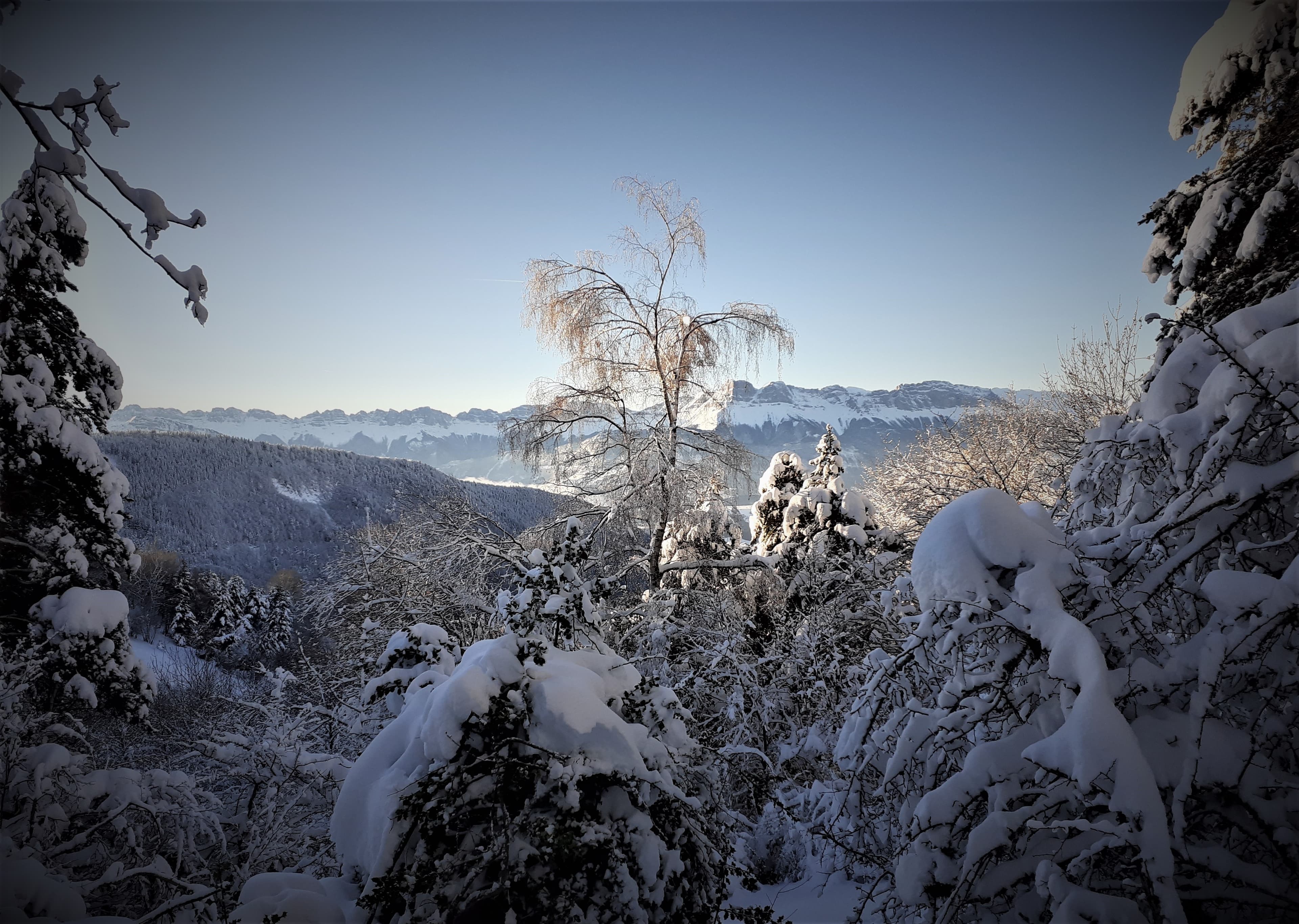 merveille de la neige