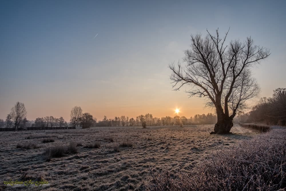 Solitude et fraîcheur bocagères