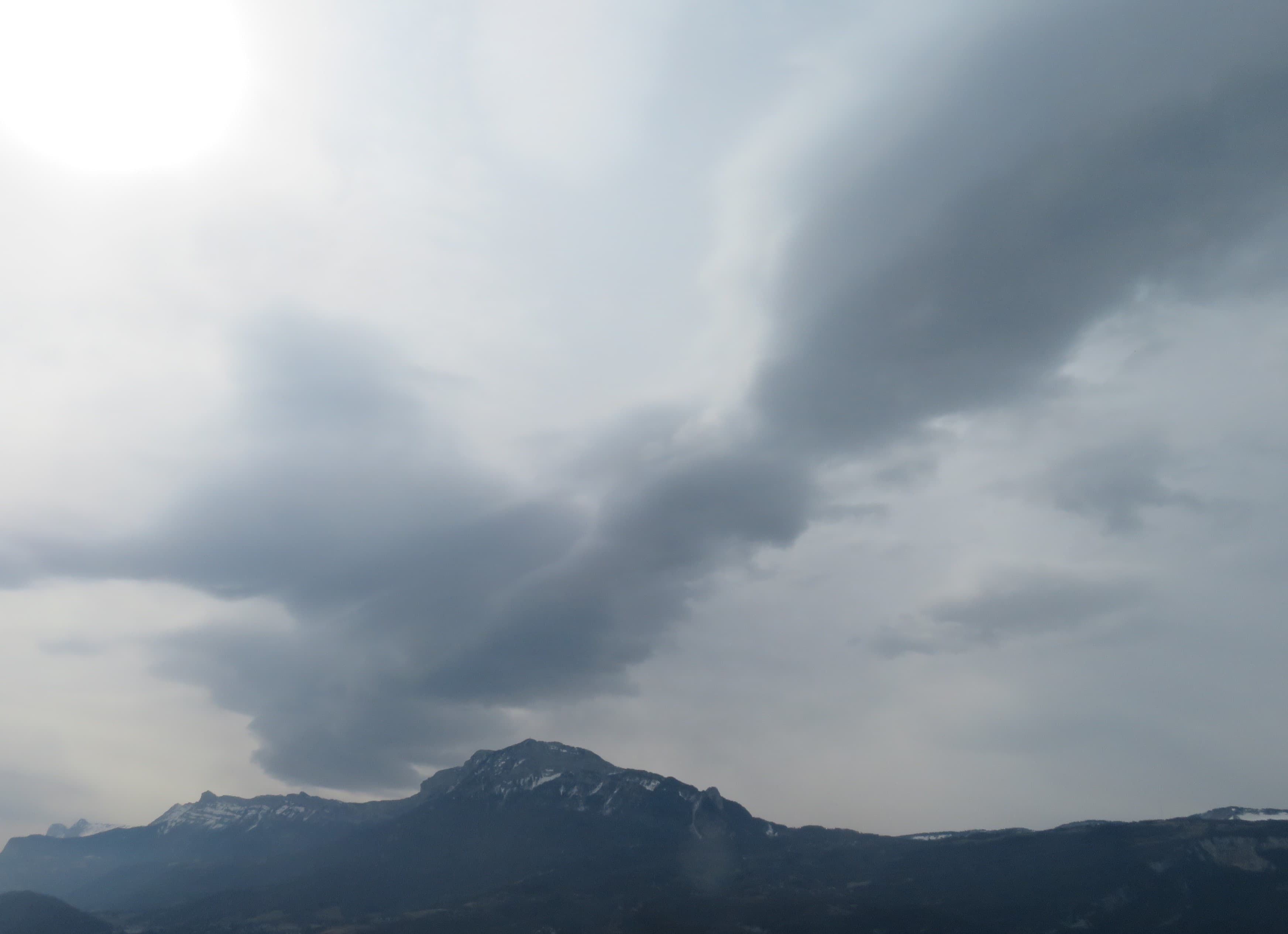 Traine de gris
