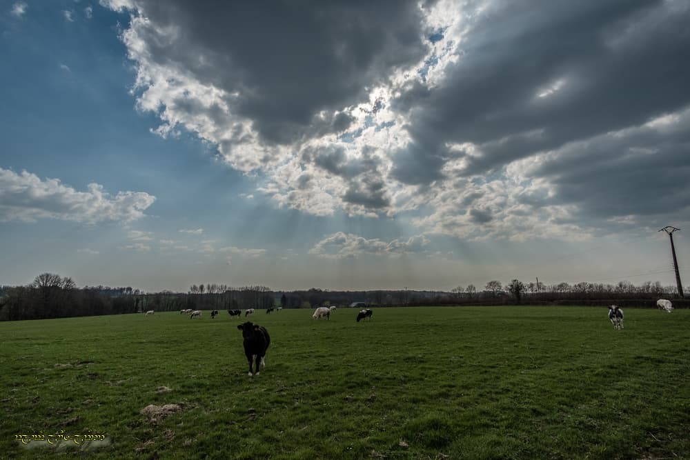 Nuages rayonnants