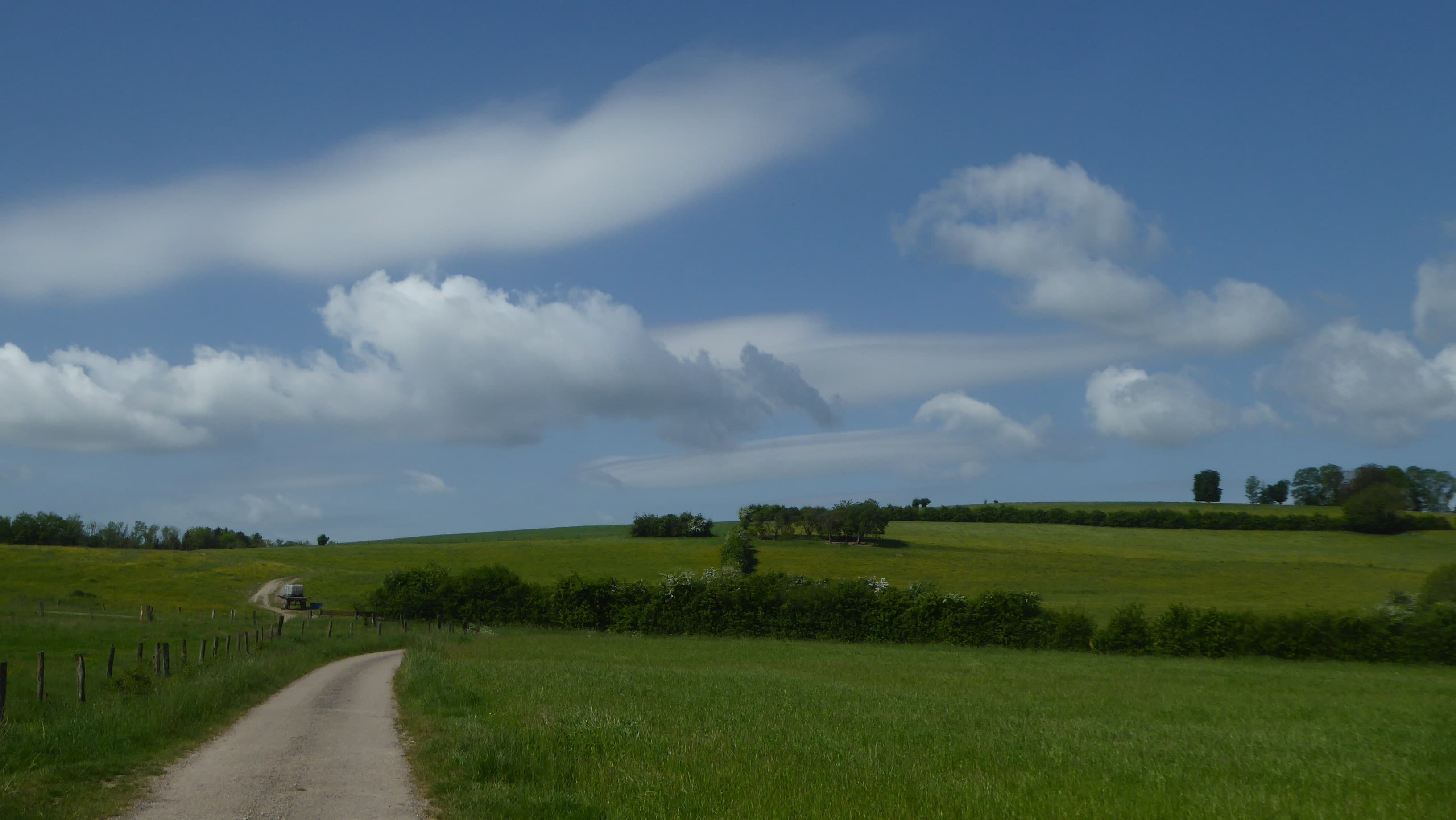 Lenticulaires au loin