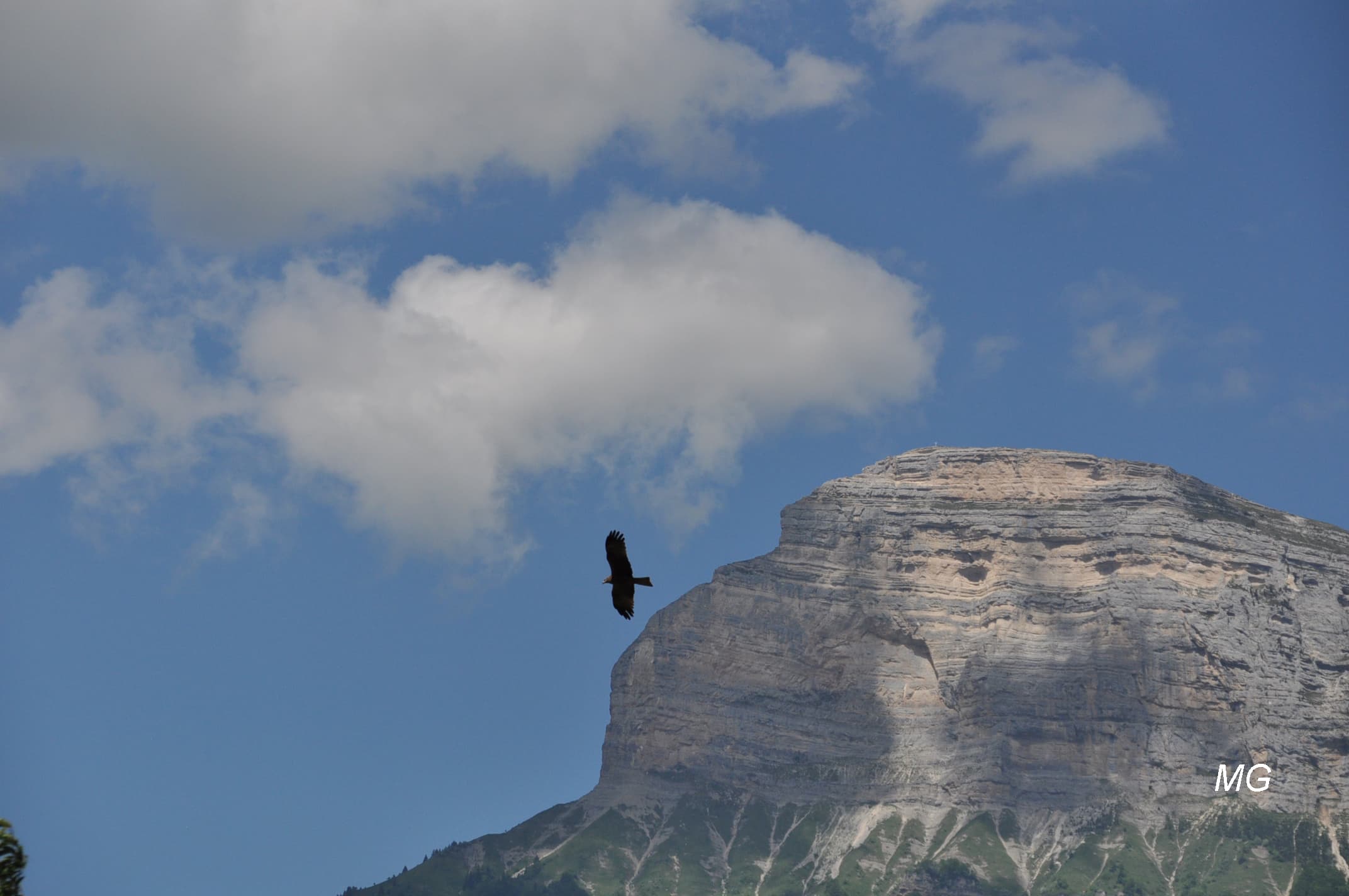 Rapace ... heureux !!!