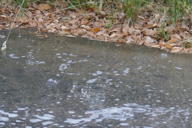 enfin de la pluie!