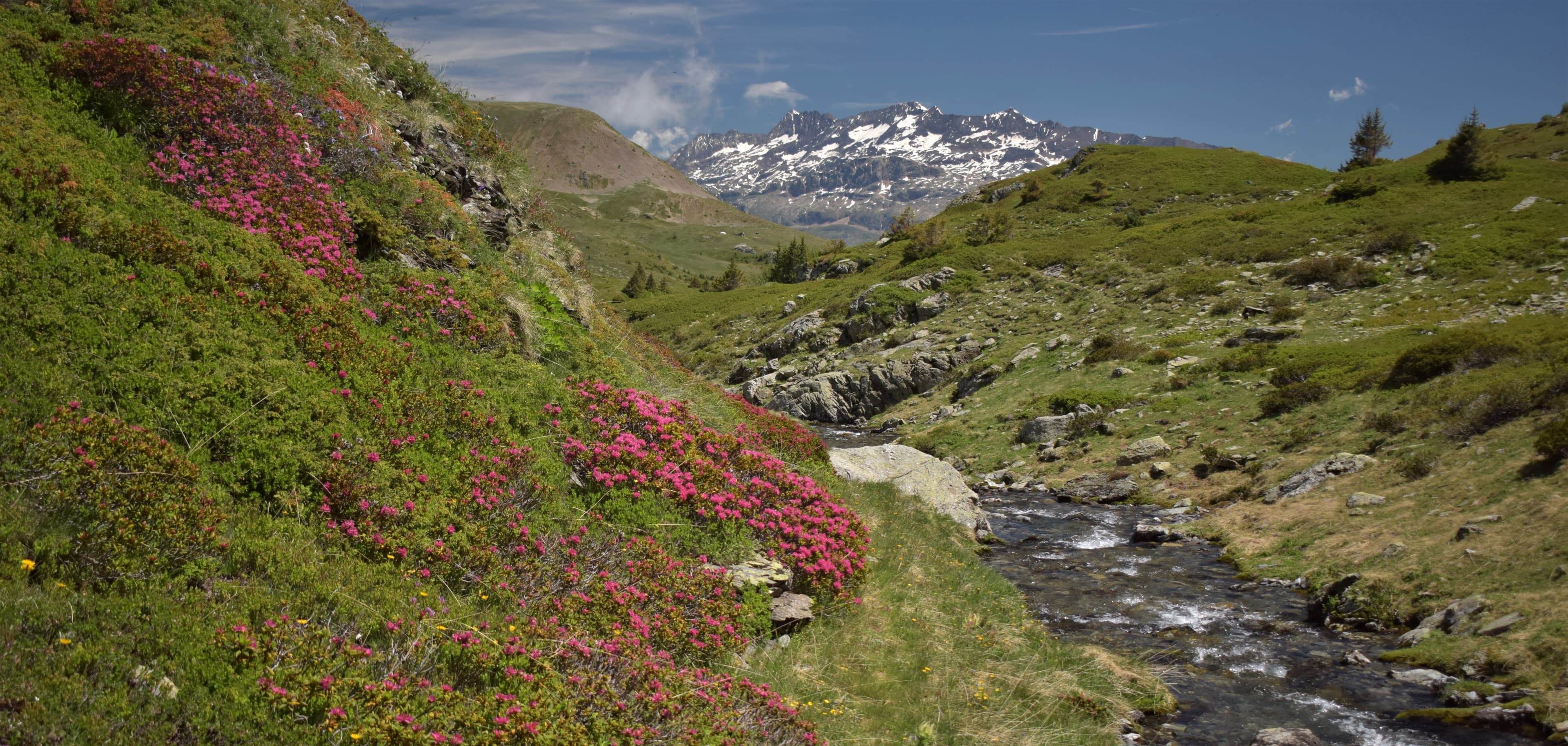 Plateau des Lacs