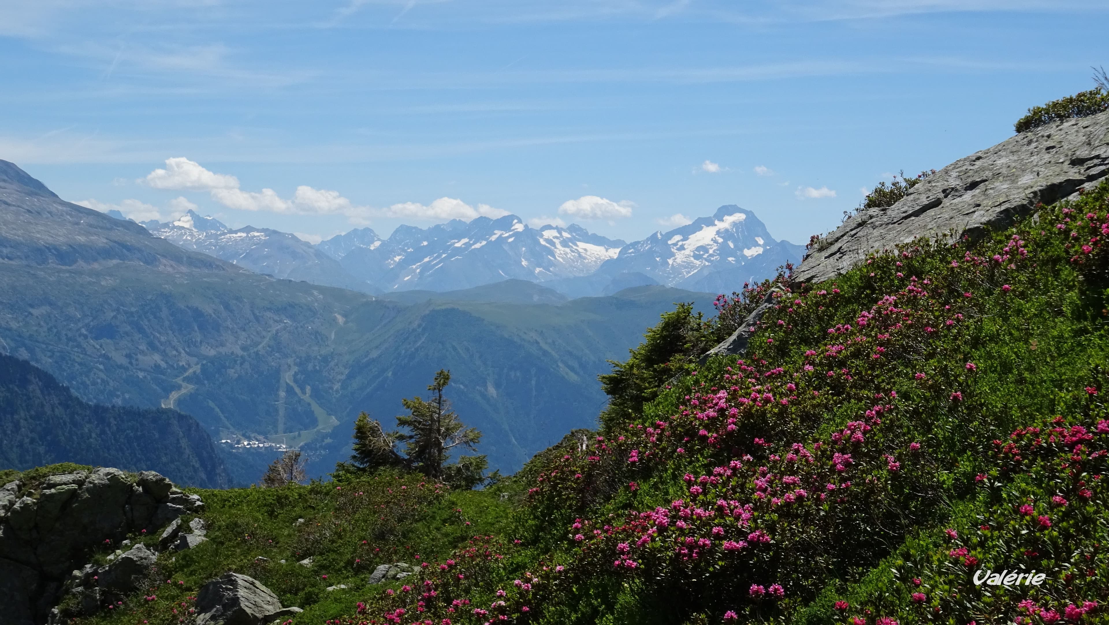 Roche de La Muzelle et Rhododendrons