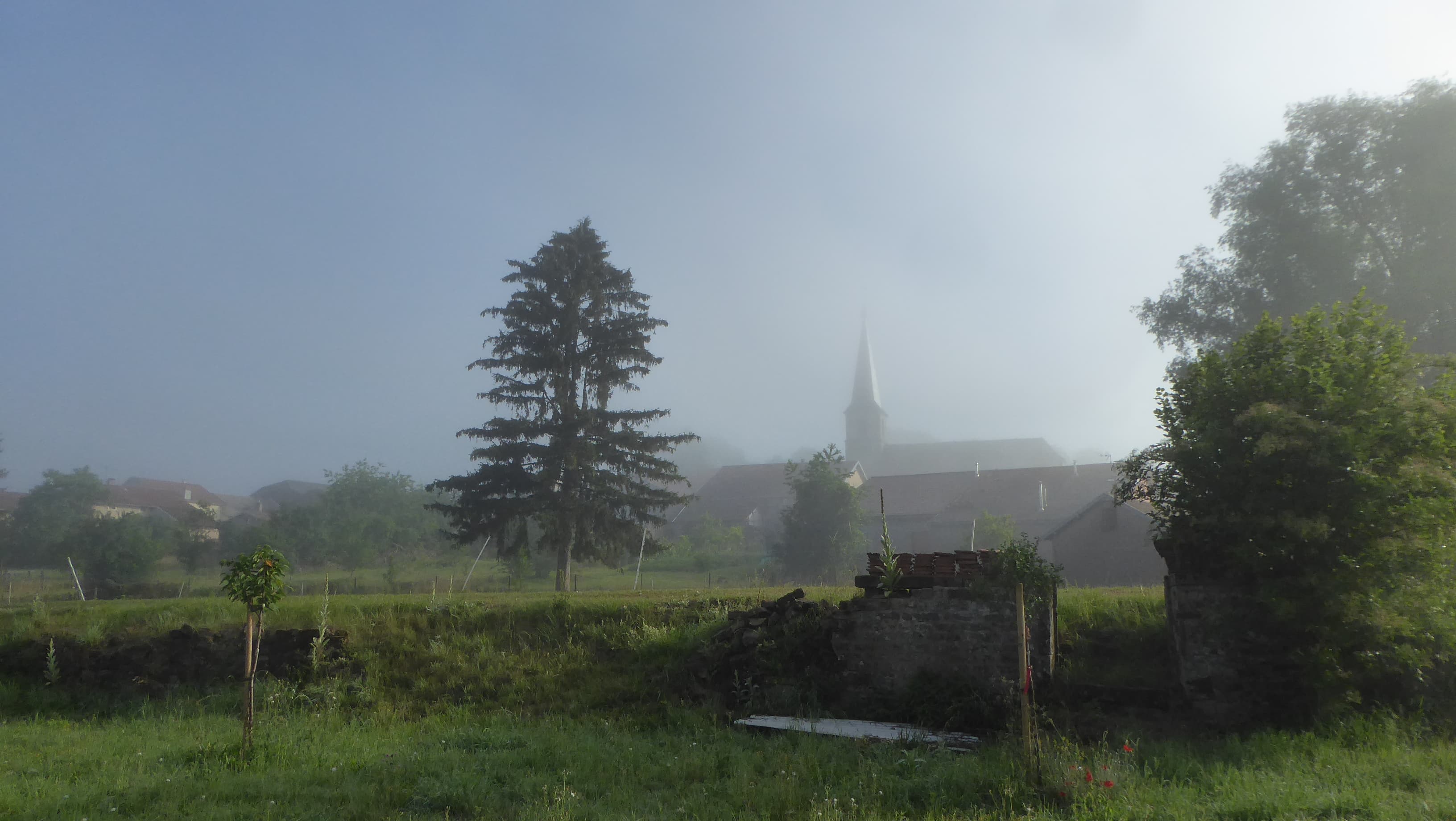 Brouillard matinal