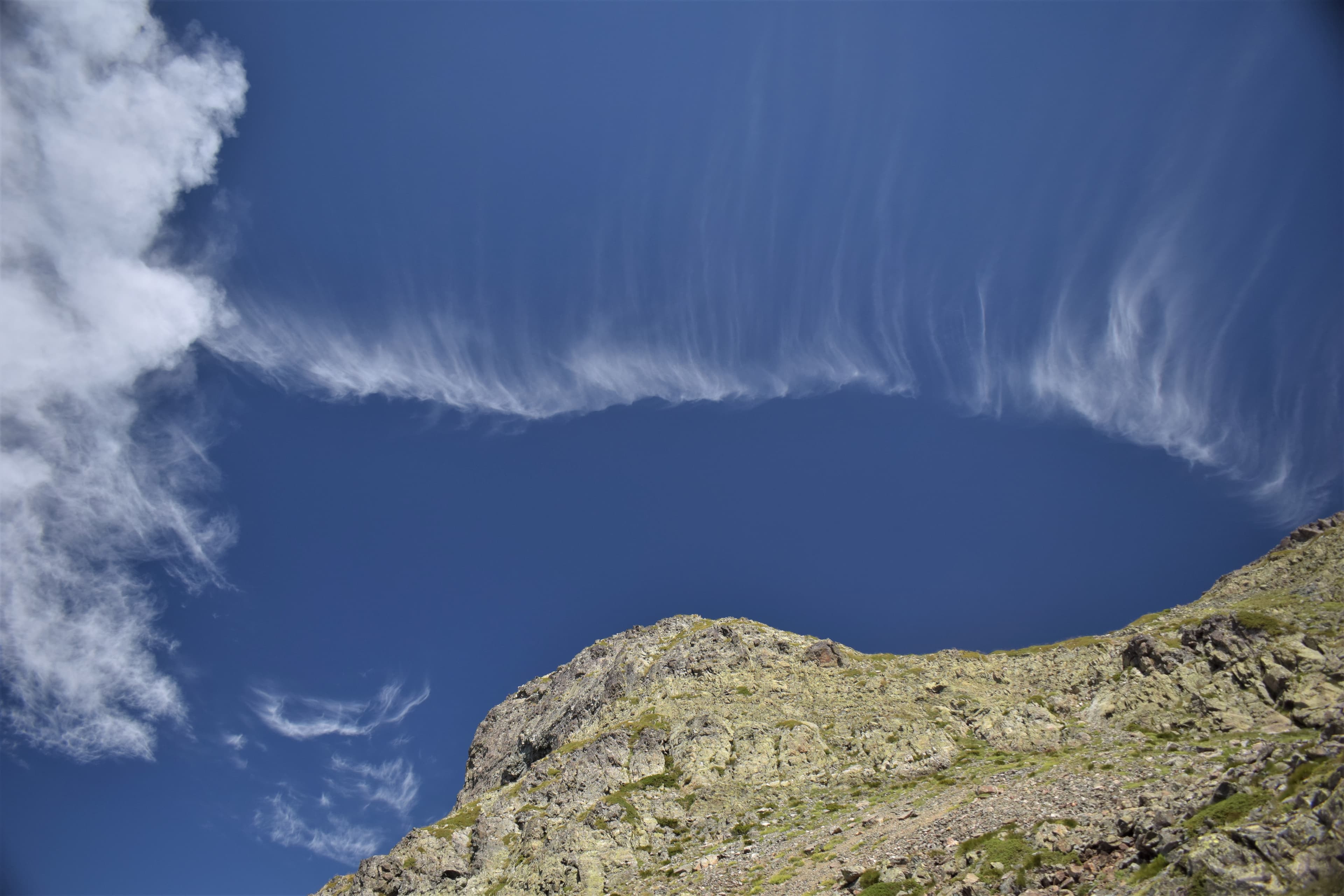 Elégance des cirrus