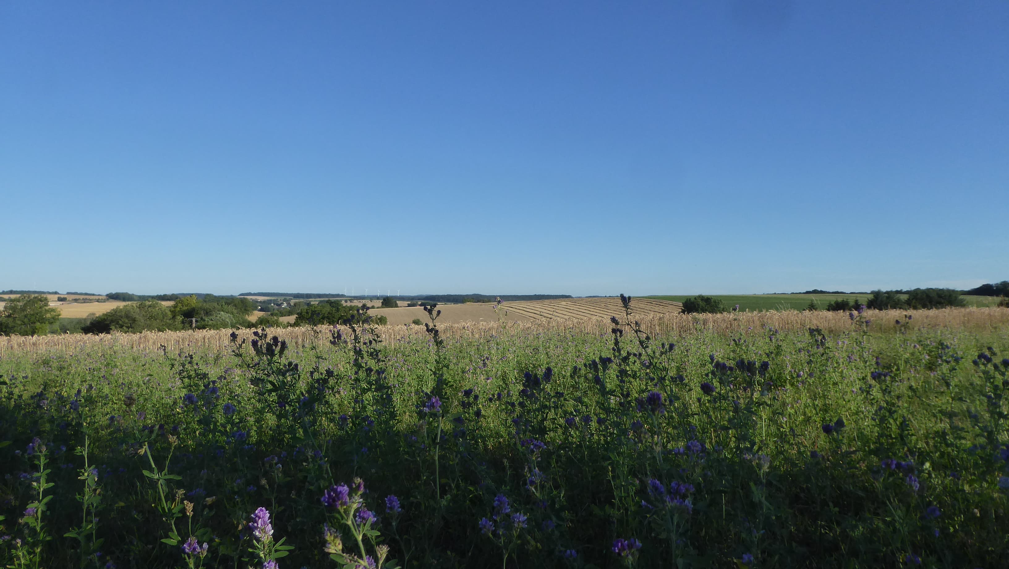 Grand ciel bleu