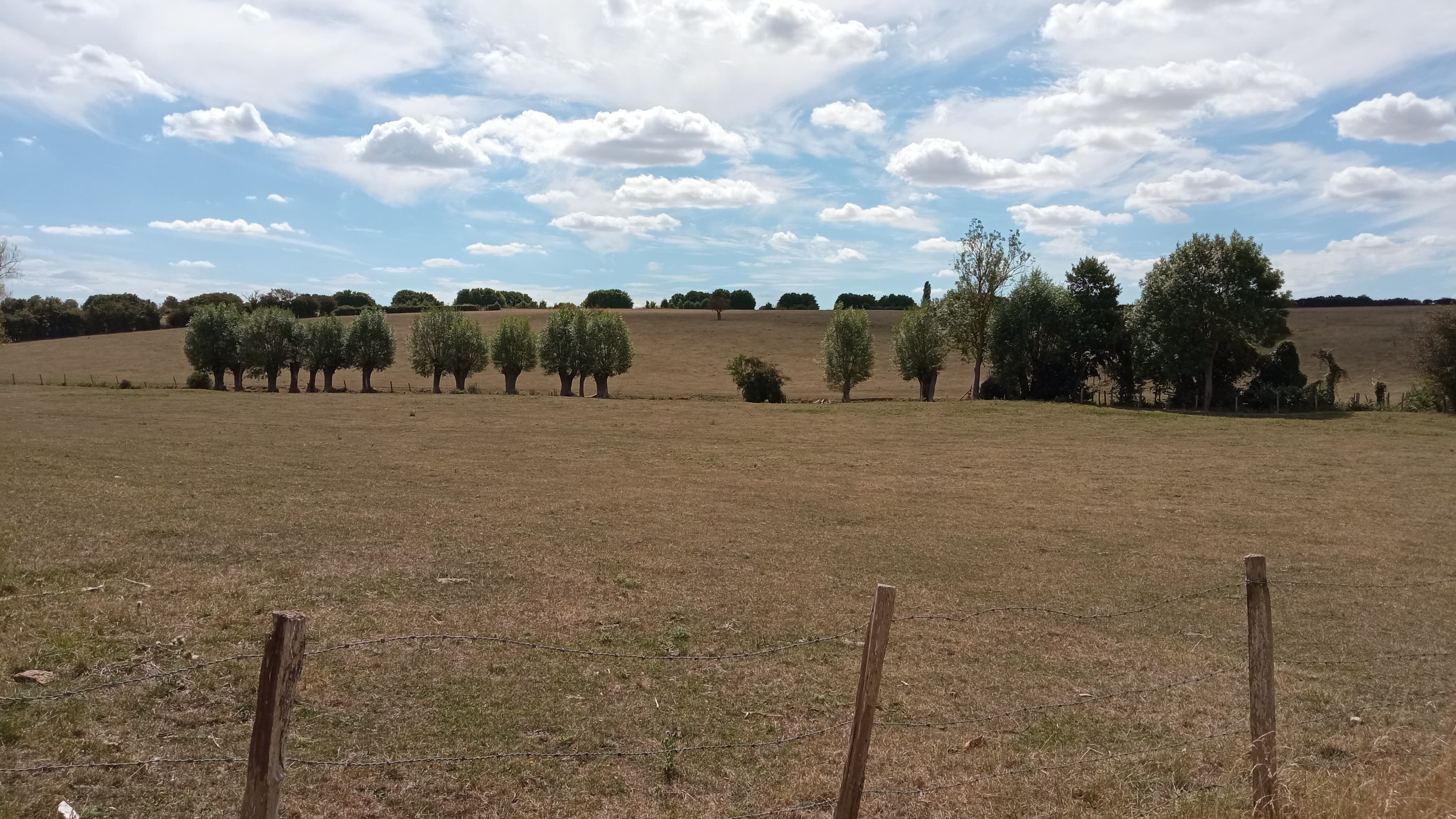 pairie "verdoyante" aux environs d'Houdan