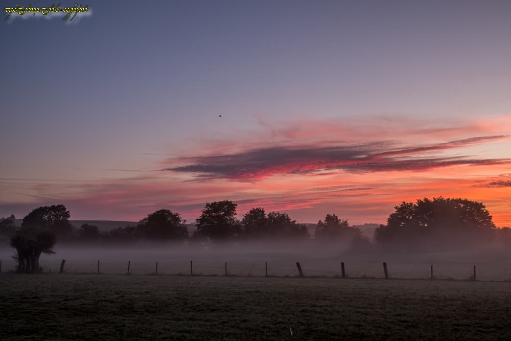 Bocage matinal