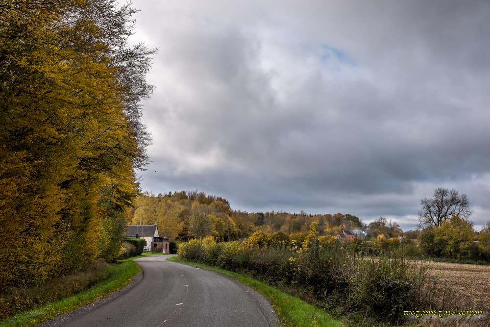 Grisaille d'automne et couleurs