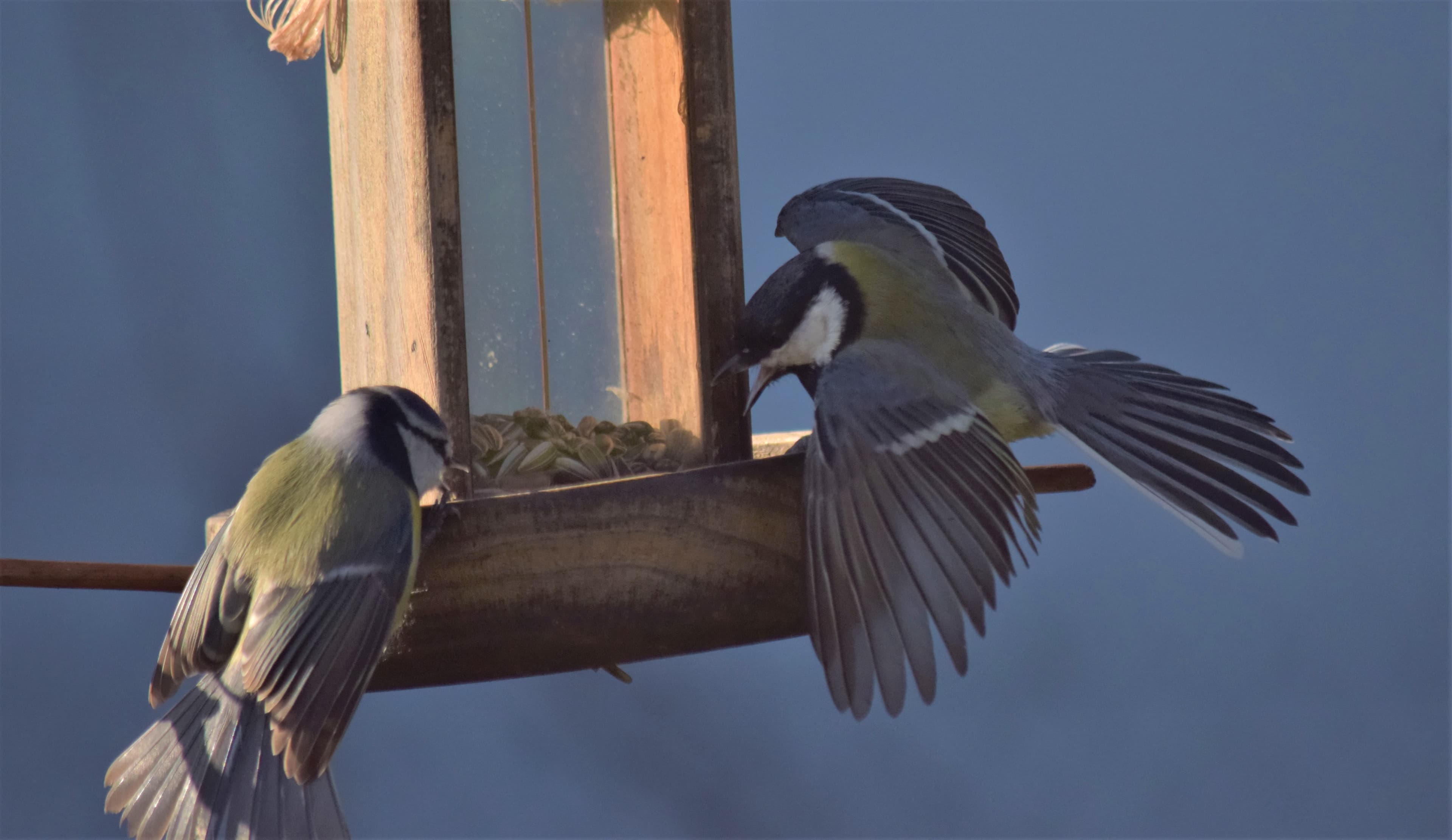 Altercation banlieusardes