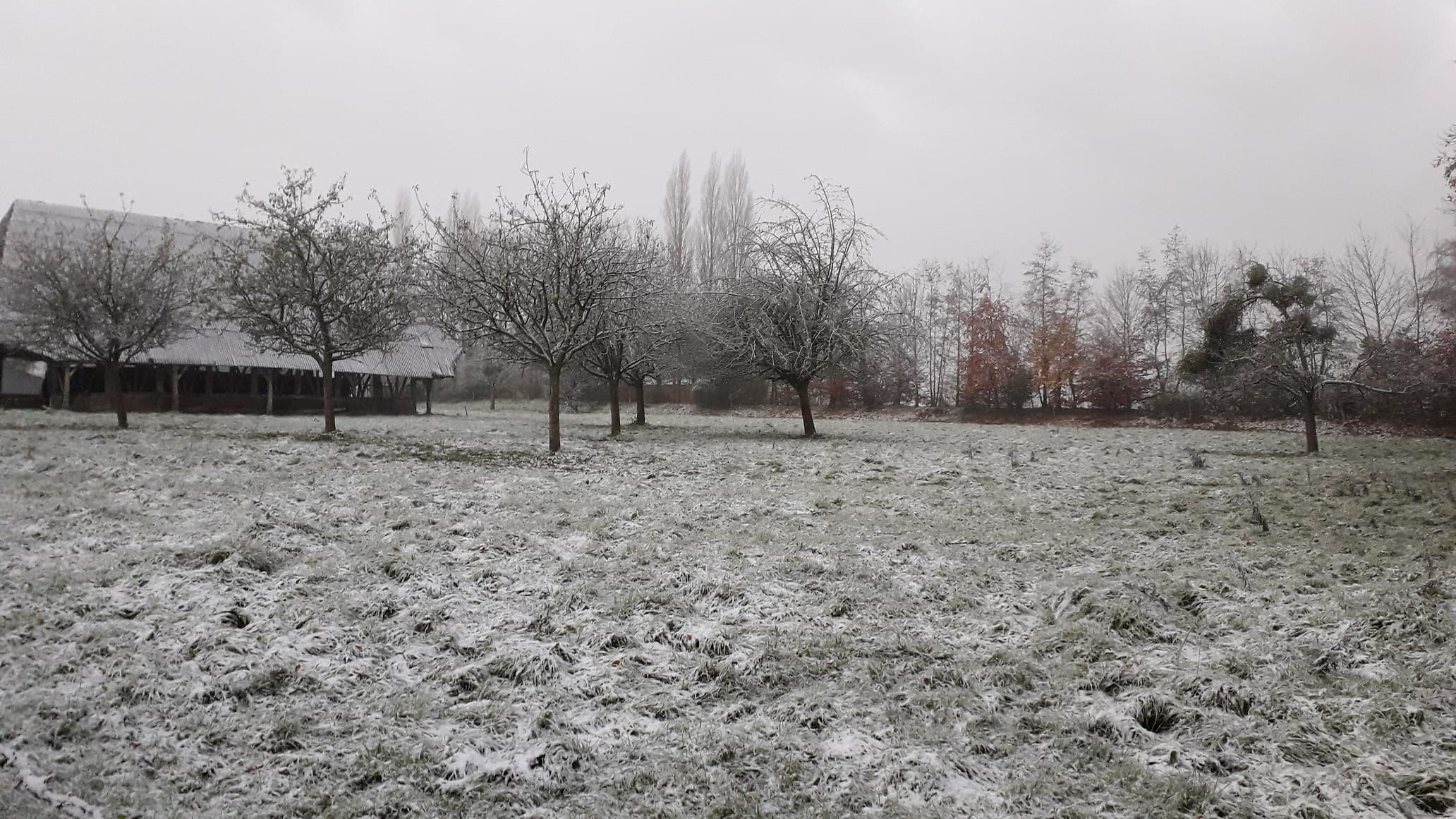 premières neiges  en Pays de Caux