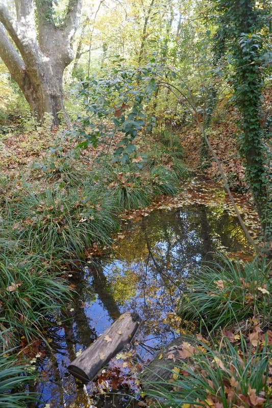 couleurs d'automne parc de la Cortésine