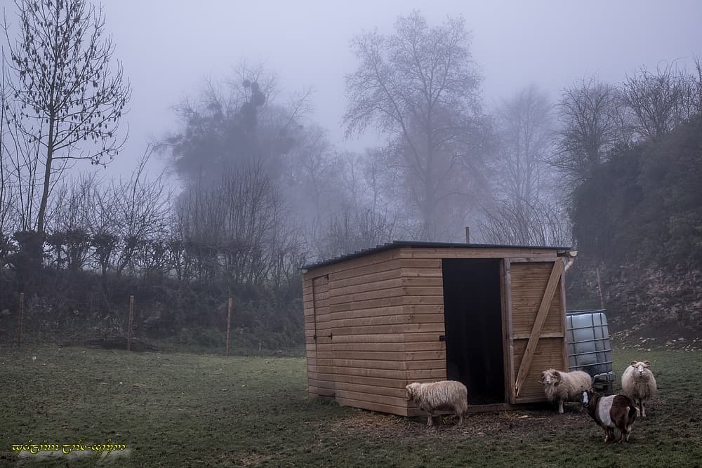 Quasi-absence de givre...