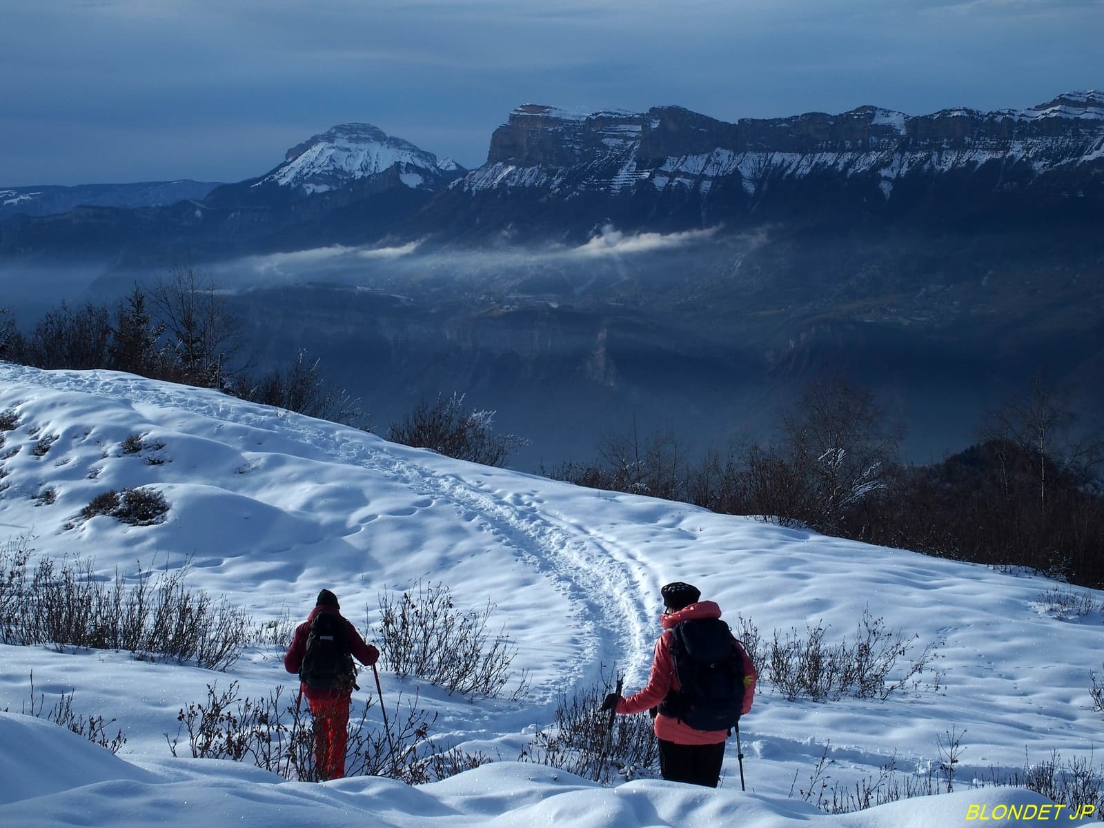 Chartreuse vue du crêt du Poulet