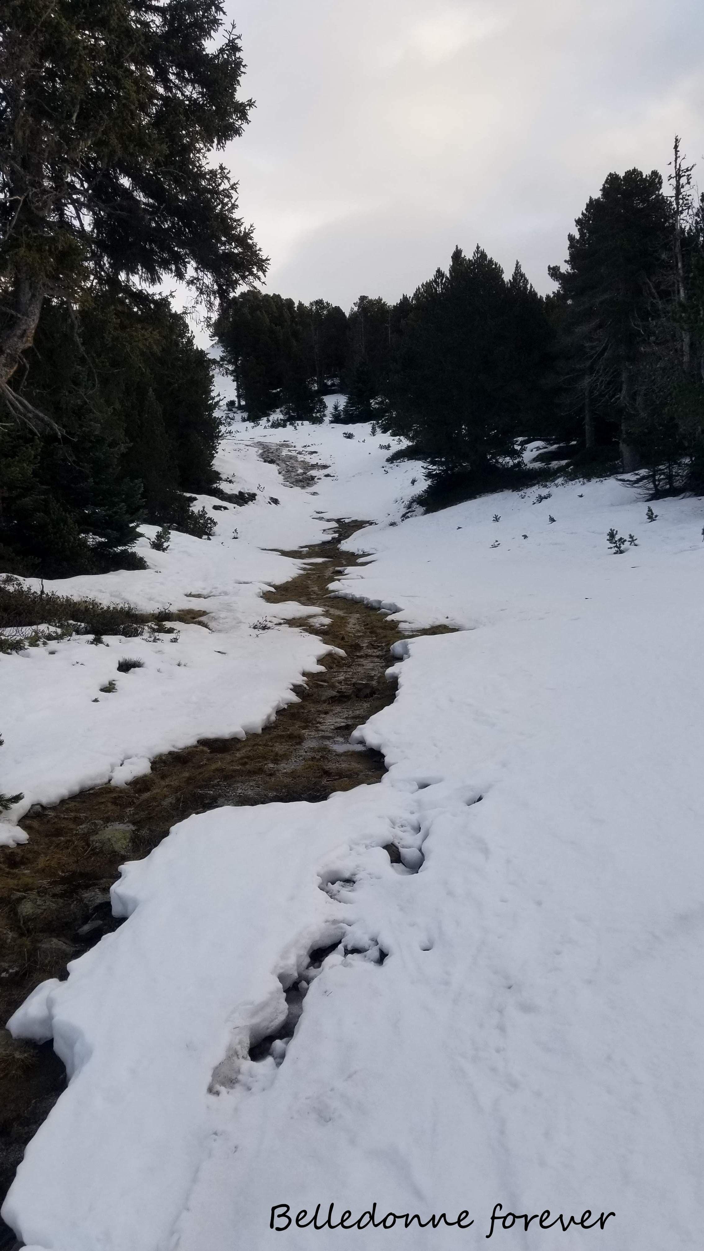 Les pluies et la chaleur ont abimé les pistes A.P.