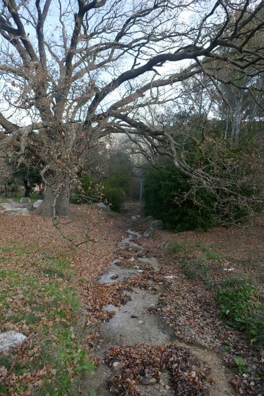 L'au coule dans les Gorges du régalon