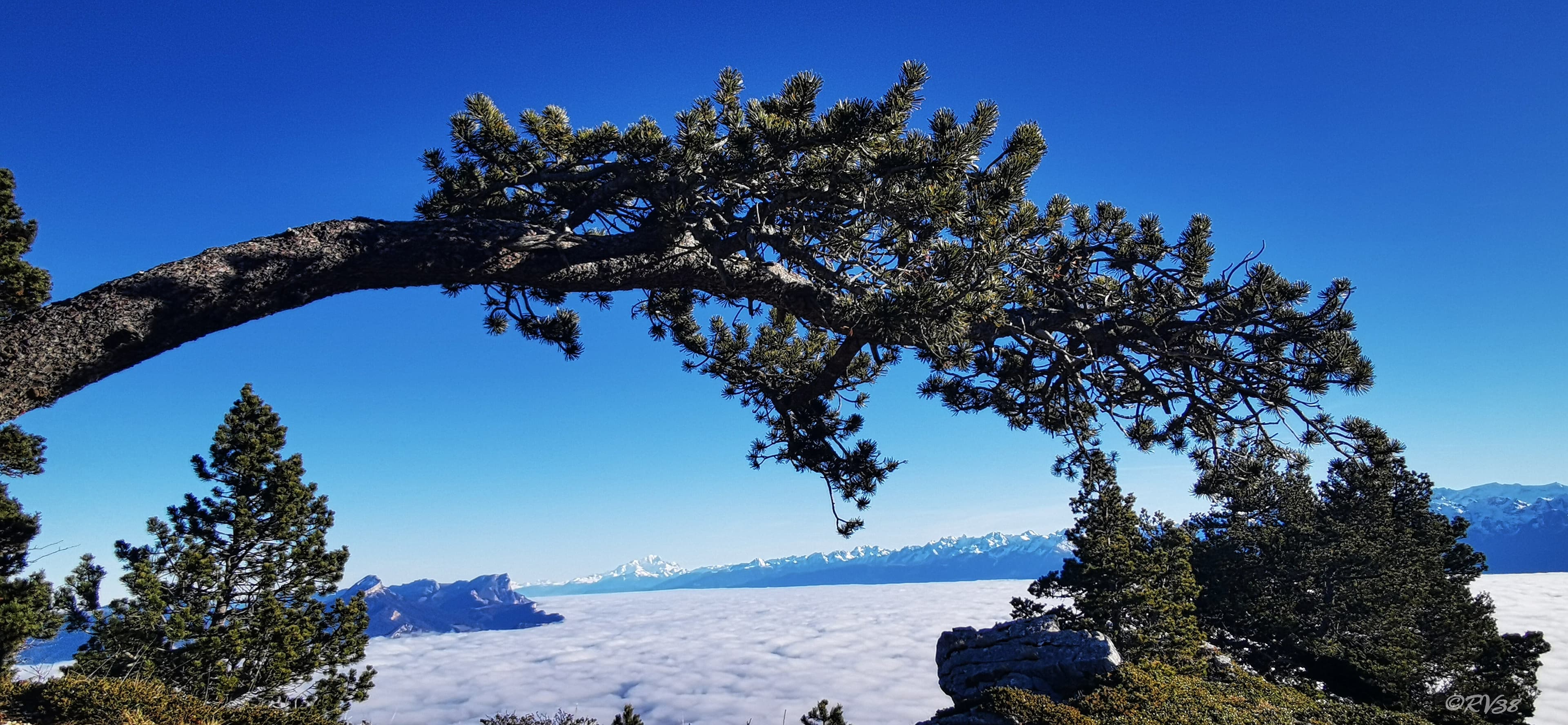 A gauche la Chartreuse, en face le Mont-Blanc, à droite le massif de Belledonne.