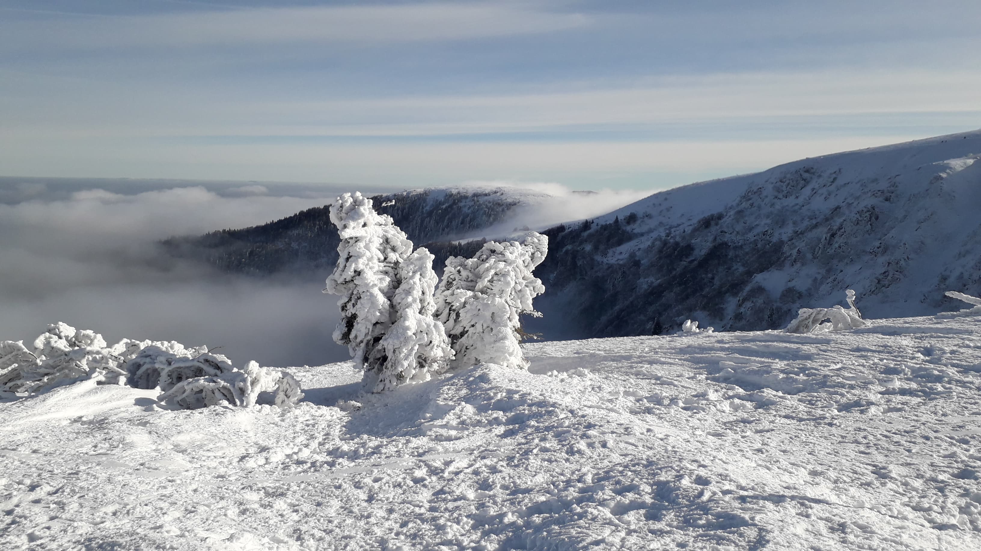 Soleil et mer de nuages sur l'Alsace