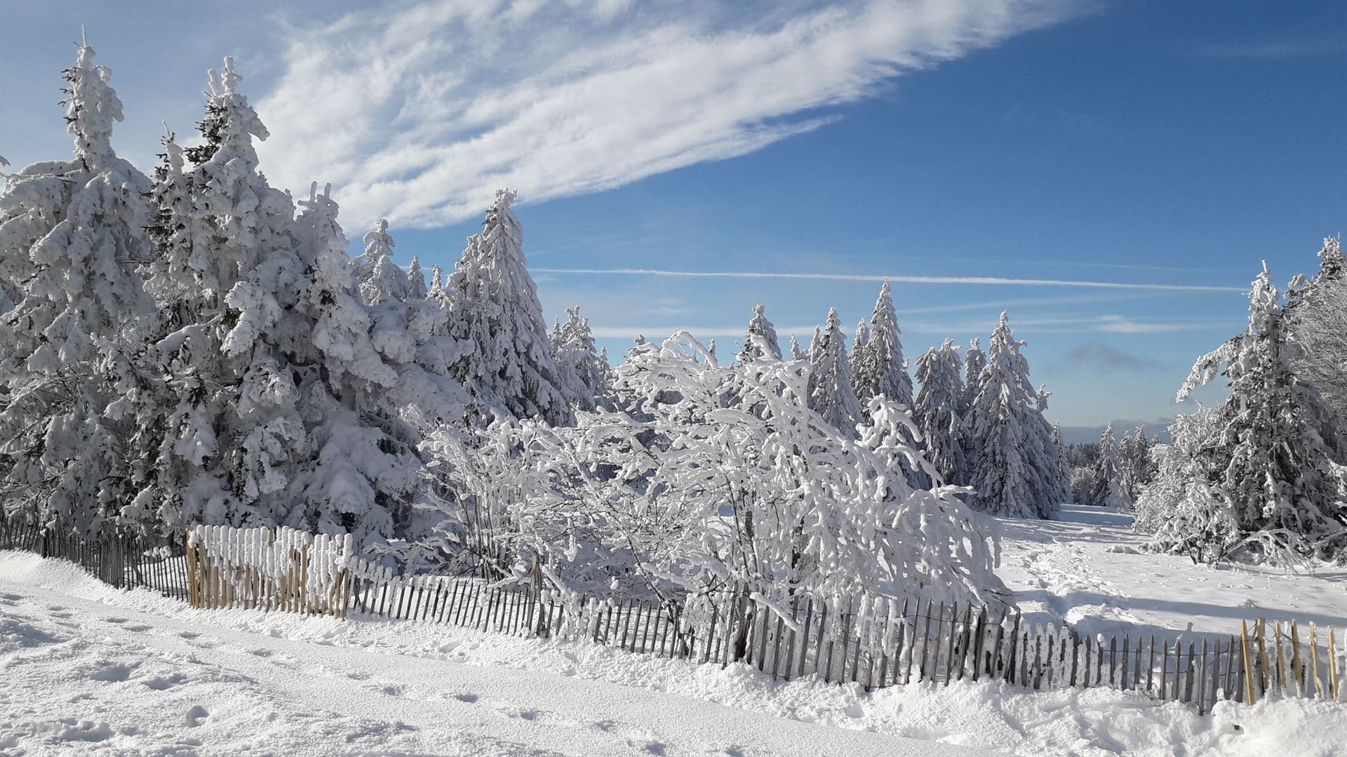 Magnifique paysage enneigé et givré aux 3 Fours