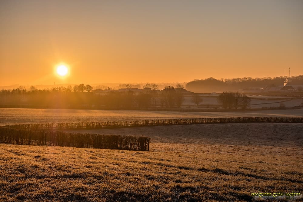 Emergence limpide dans le bocage