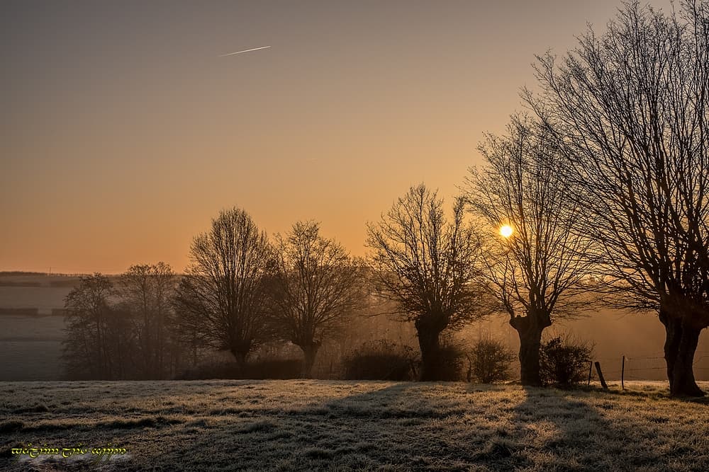 Les ombres du bocage