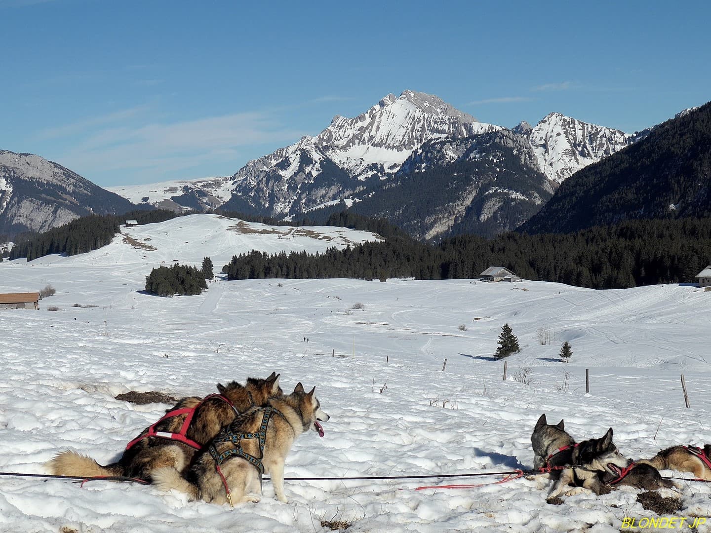 Plateau des Glières