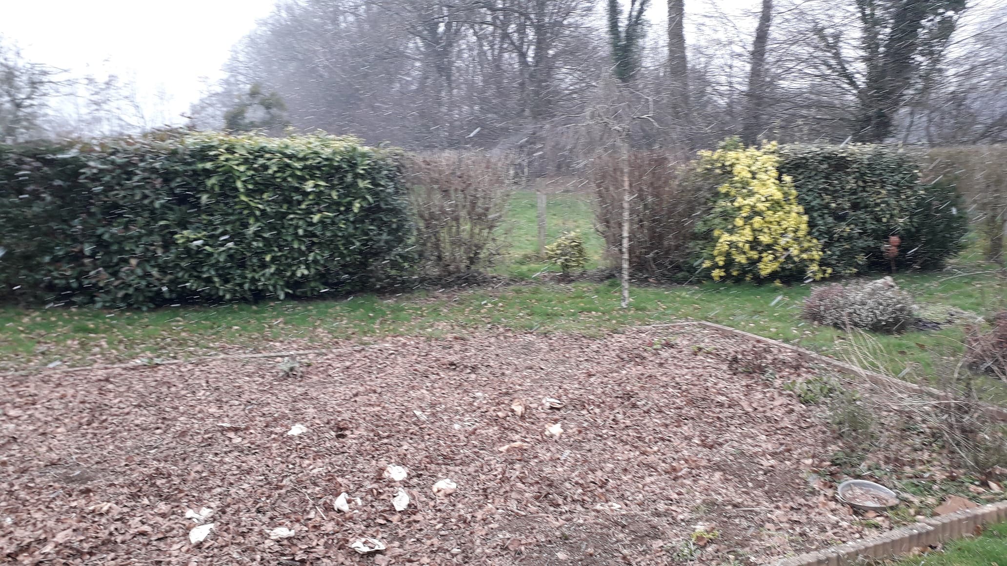 brève averse de neige très petits flocons