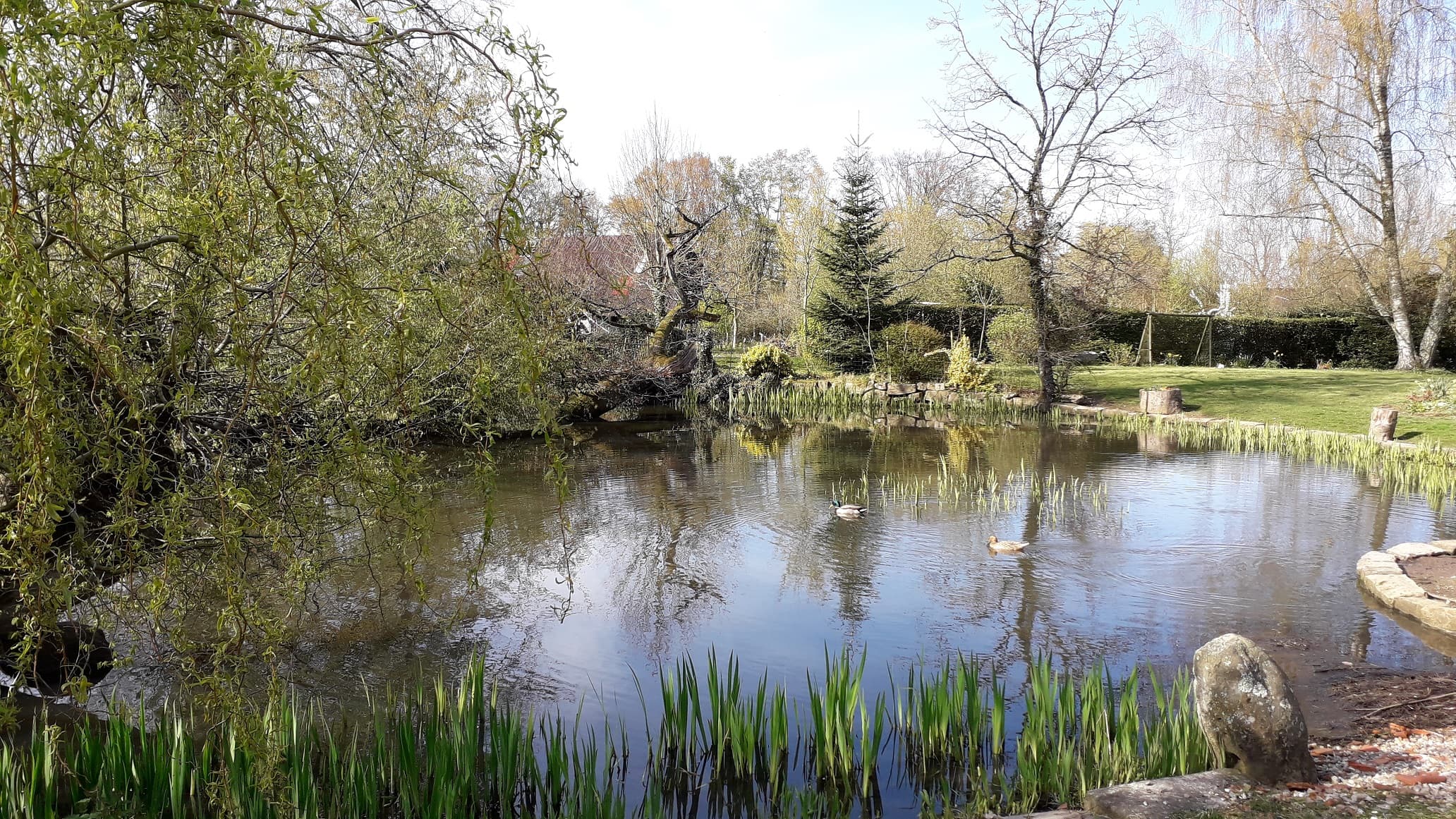 la mare après les pluies de mars