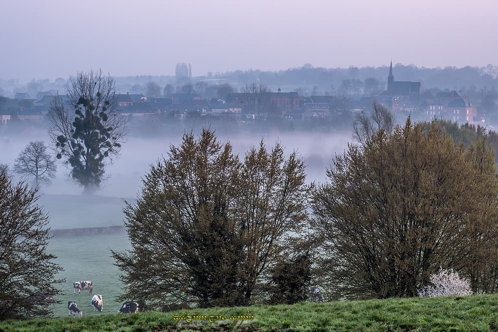 En contrebas, la brume