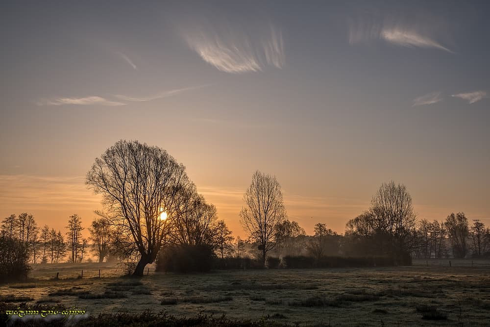 Graphique est le bocage