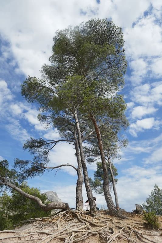 Erosion au pied de la sainte-victoire