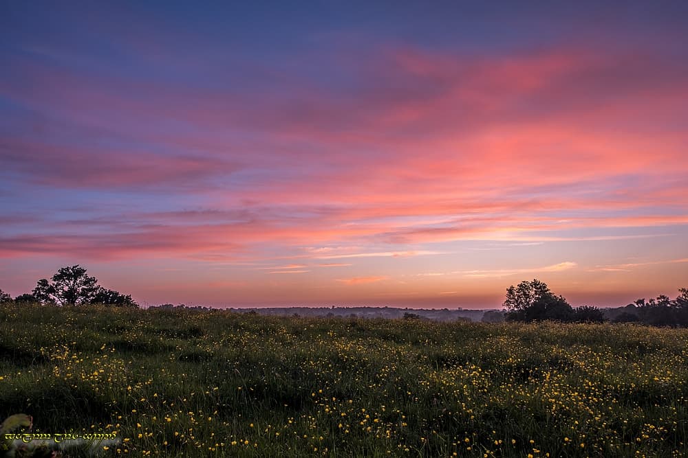 La couleur, pour débuter